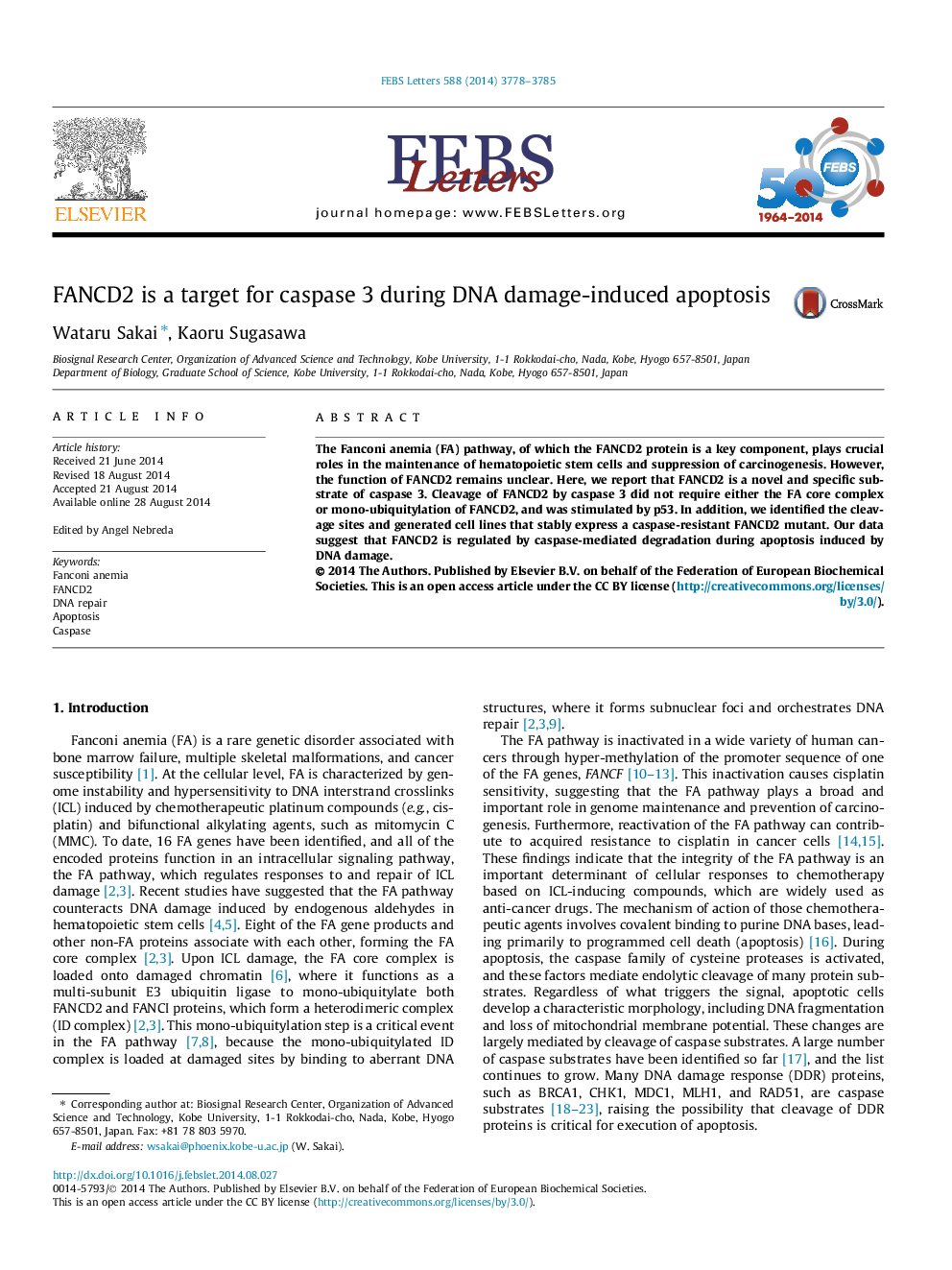 FANCD2 is a target for caspase 3 during DNA damage-induced apoptosis