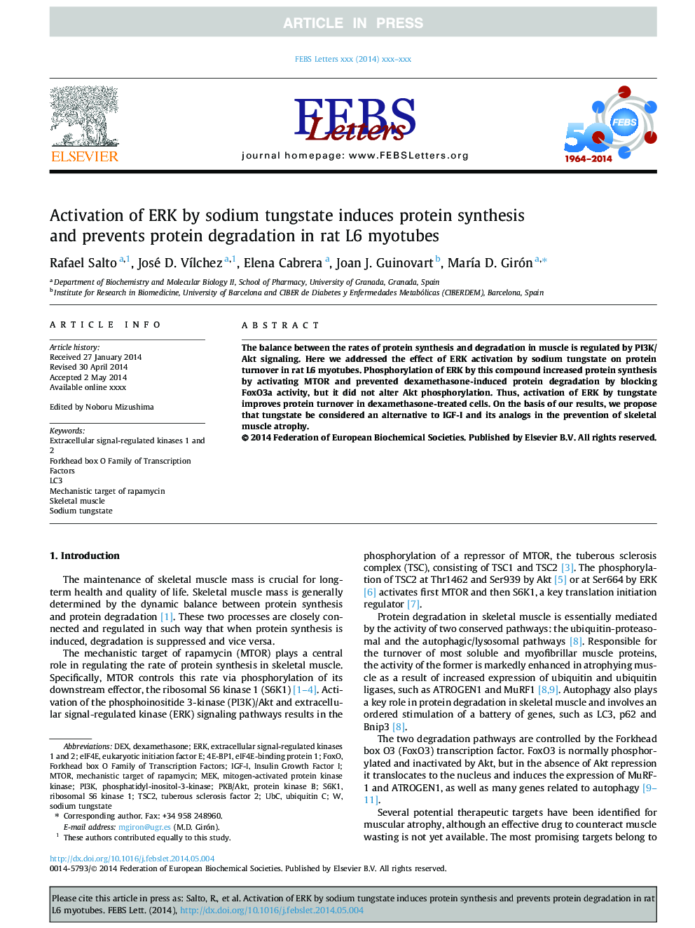 Activation of ERK by sodium tungstate induces protein synthesis and prevents protein degradation in rat L6 myotubes