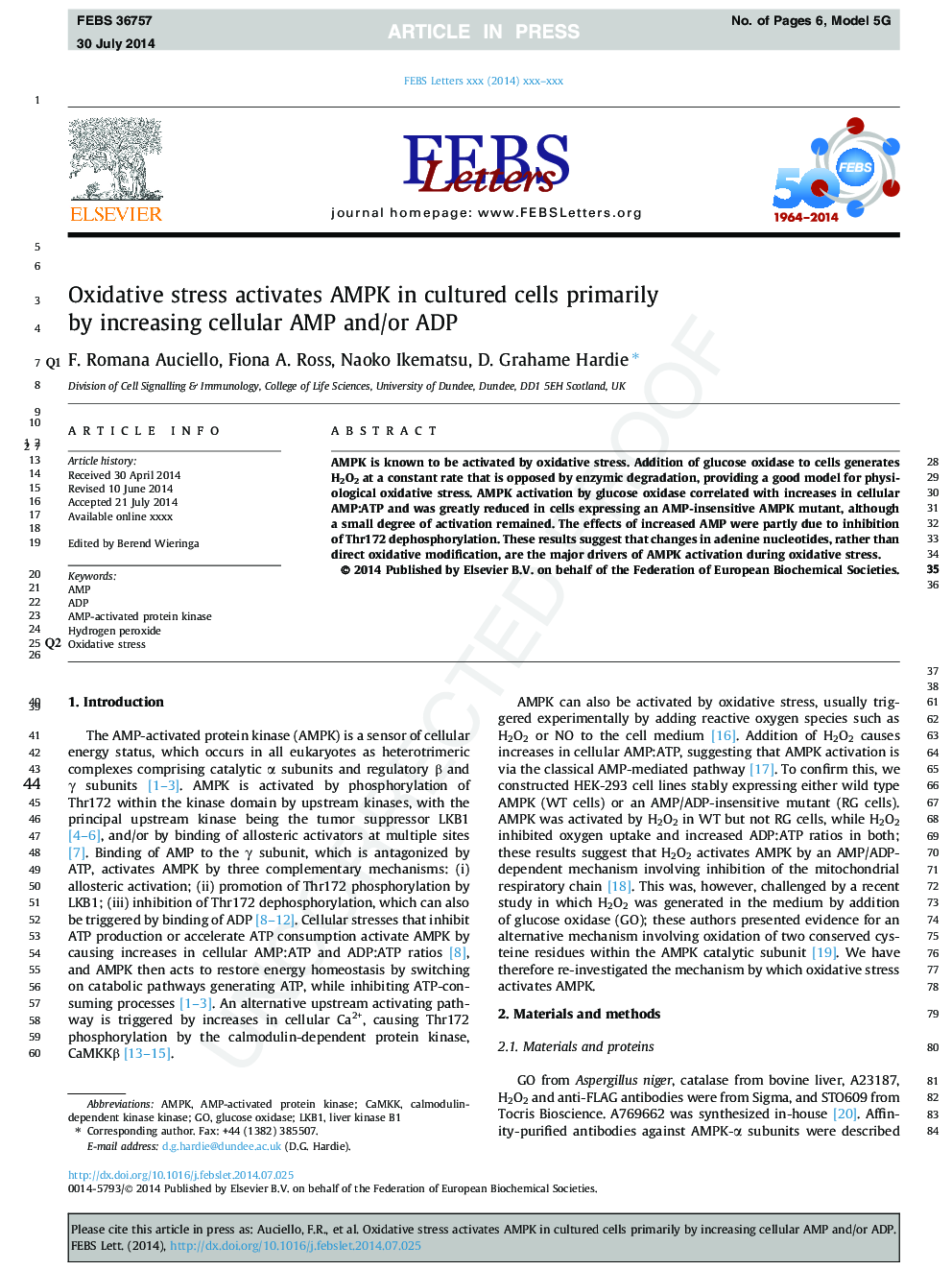 Oxidative stress activates AMPK in cultured cells primarily by increasing cellular AMP and/or ADP