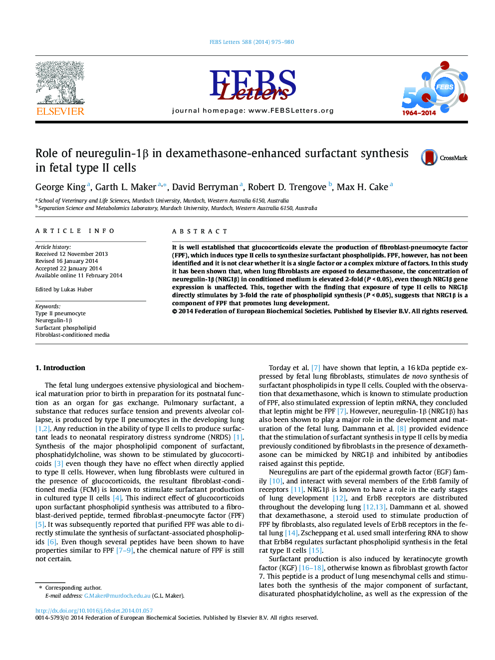 Role of neuregulin-1Î² in dexamethasone-enhanced surfactant synthesis in fetal type II cells