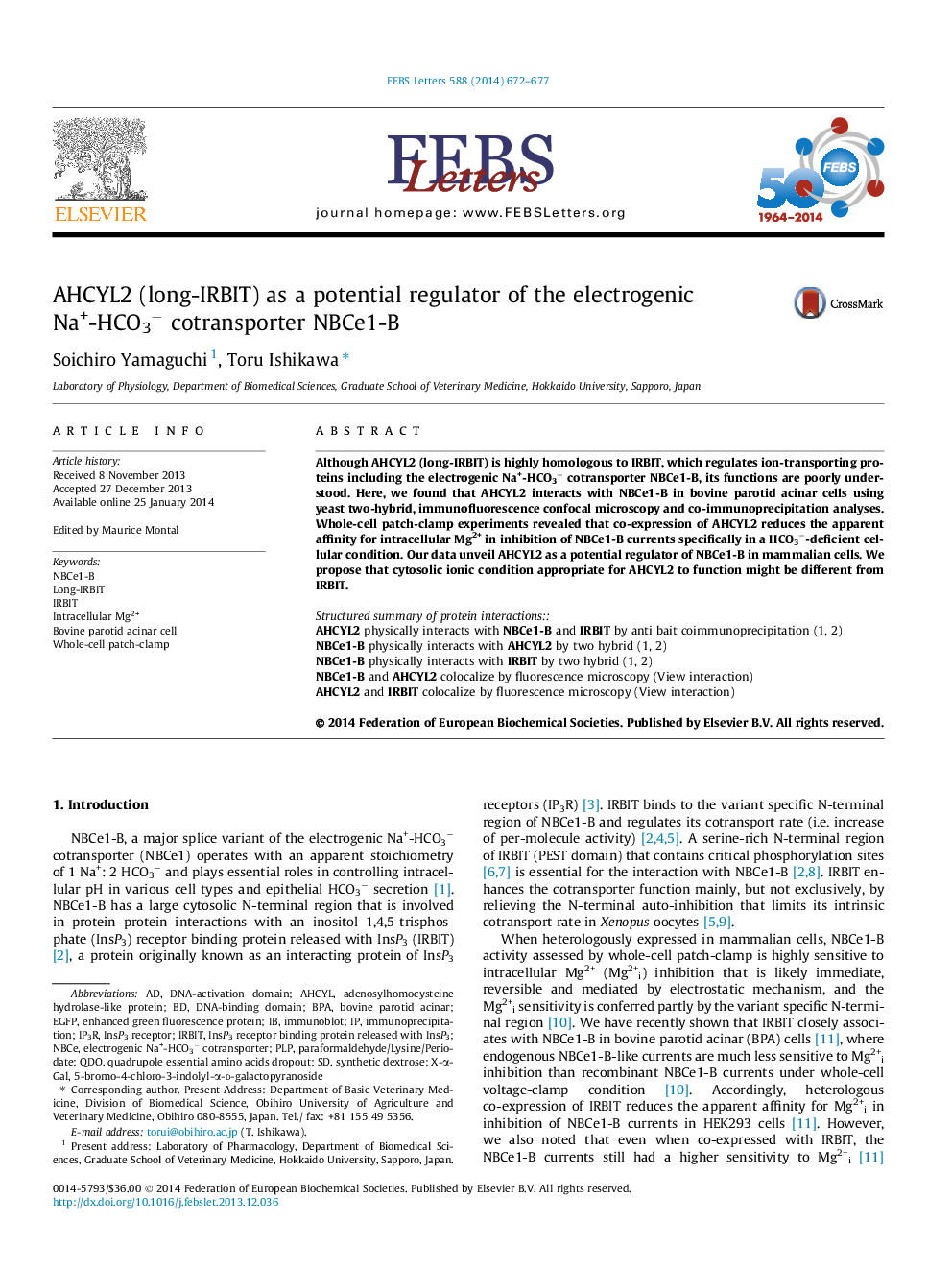 AHCYL2 (long-IRBIT) as a potential regulator of the electrogenic Na+-HCO3â cotransporter NBCe1-B