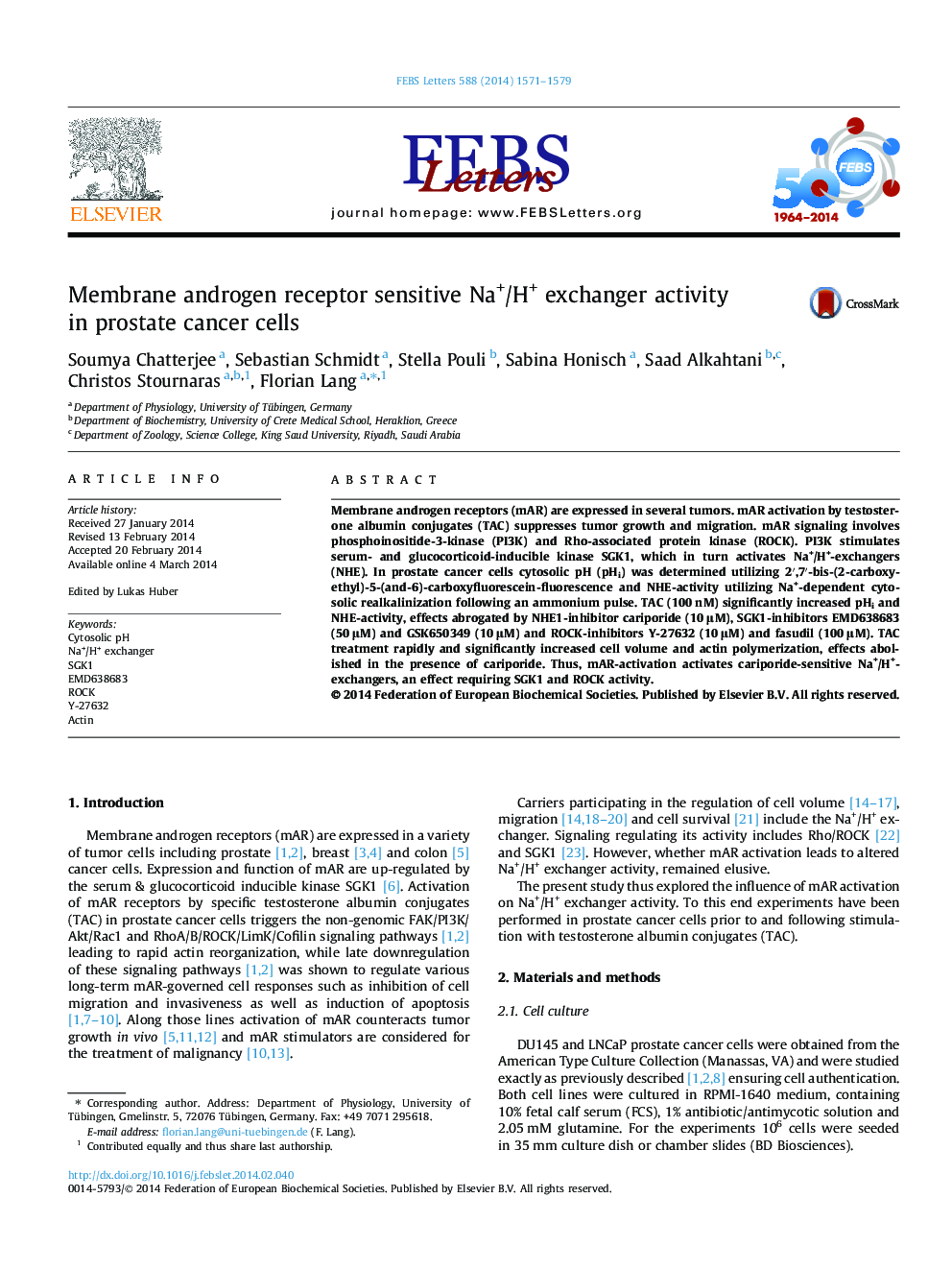 Membrane androgen receptor sensitive Na+/H+ exchanger activity in prostate cancer cells