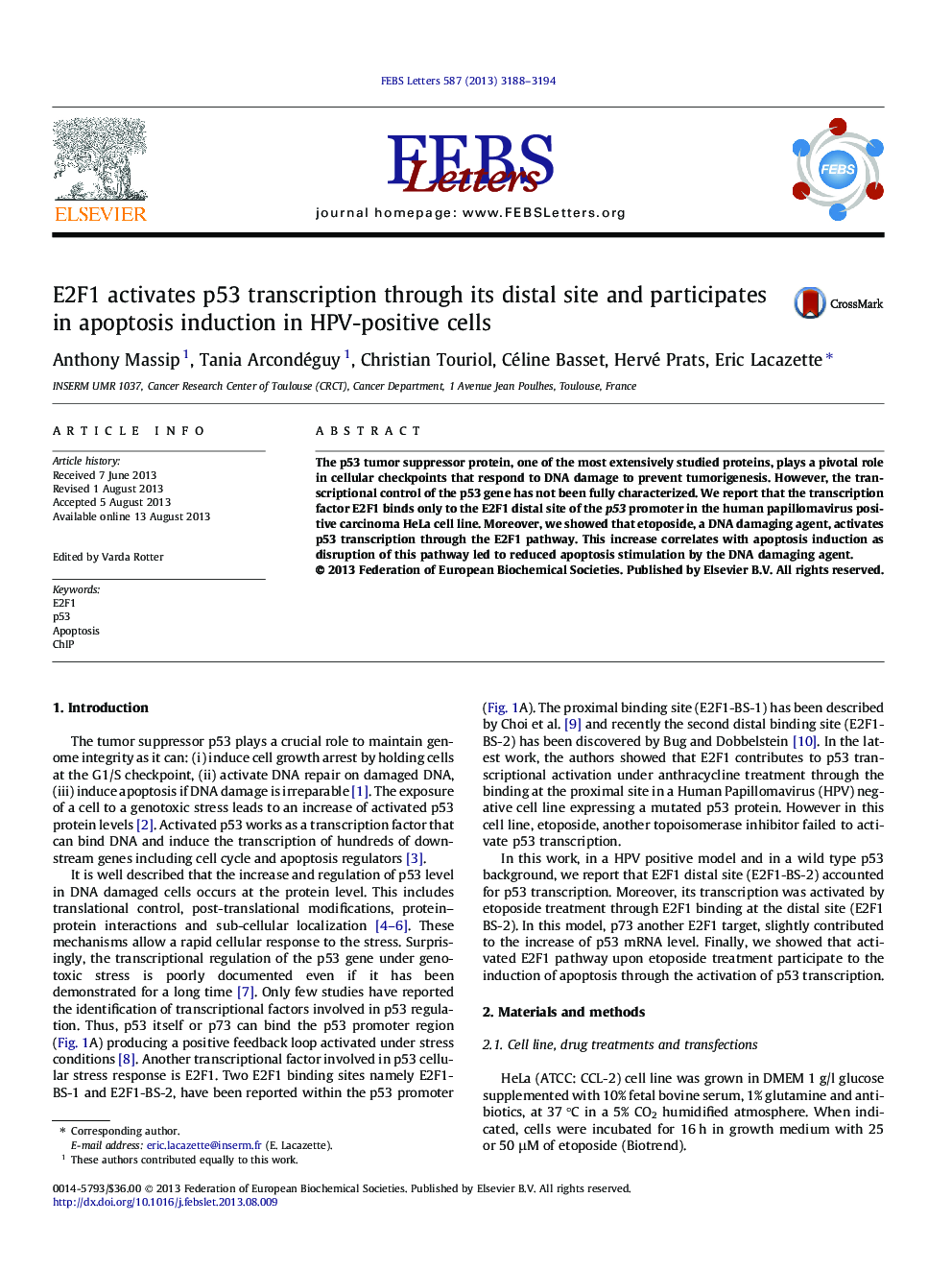 E2F1 activates p53 transcription through its distal site and participates in apoptosis induction in HPV-positive cells