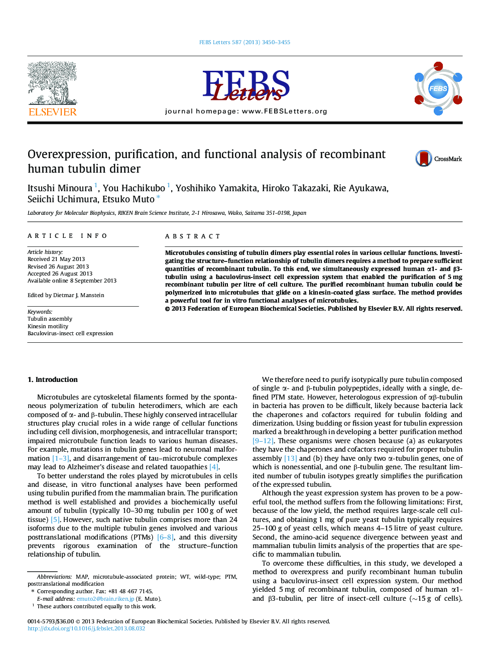 Overexpression, purification, and functional analysis of recombinant human tubulin dimer