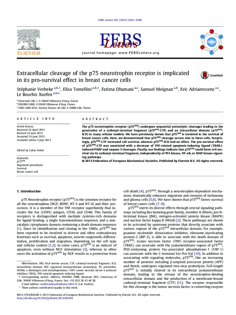 Extracellular cleavage of the p75 neurotrophin receptor is implicated in its pro-survival effect in breast cancer cells