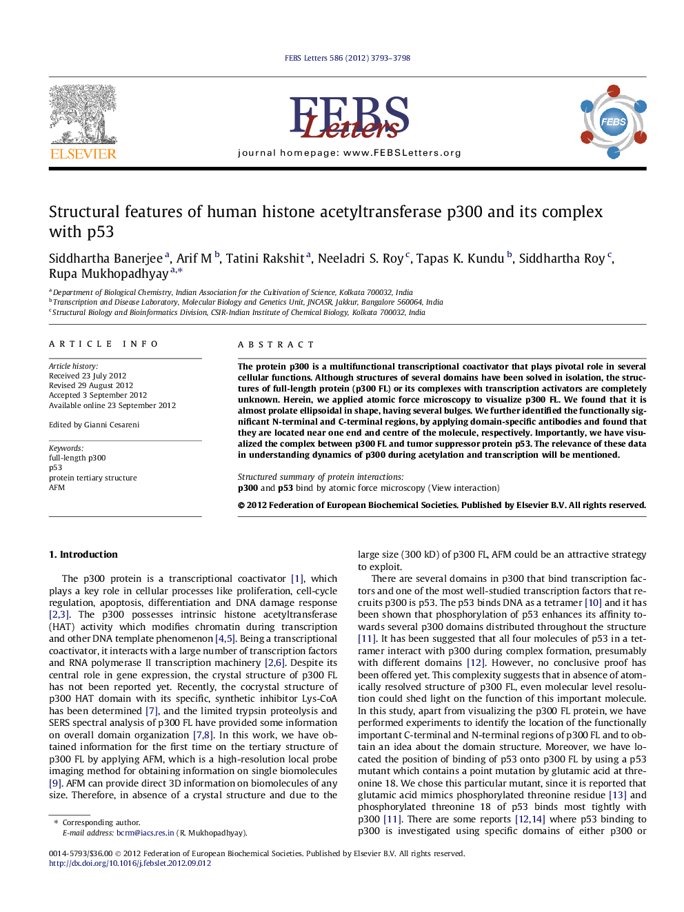 Structural features of human histone acetyltransferase p300 and its complex with p53