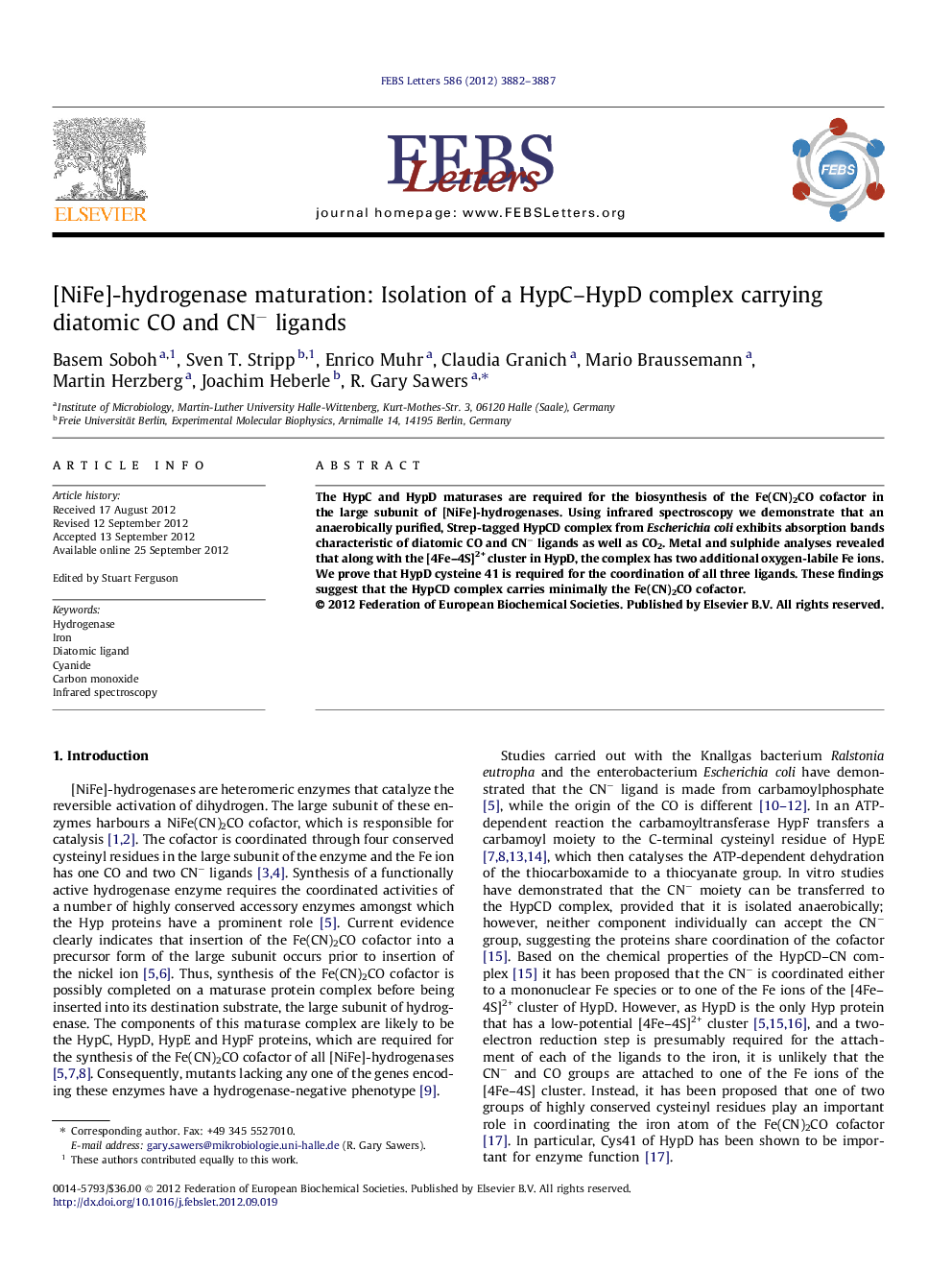 [NiFe]-hydrogenase maturation: Isolation of a HypC-HypD complex carrying diatomic CO and CNâ ligands