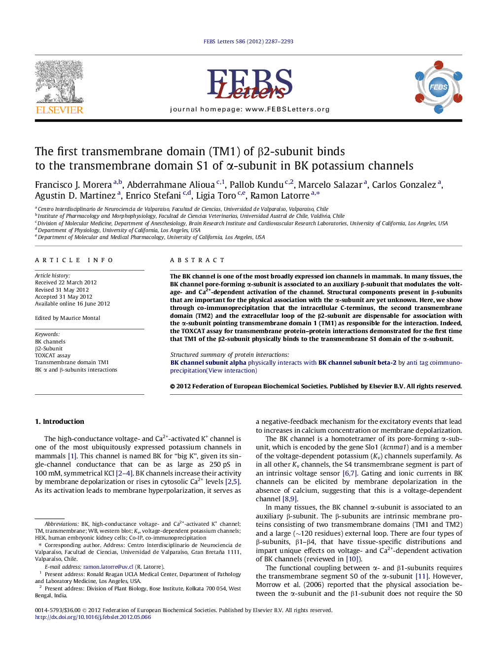 The first transmembrane domain (TM1) of Î²2-subunit binds to the transmembrane domain S1 of Î±-subunit in BK potassium channels