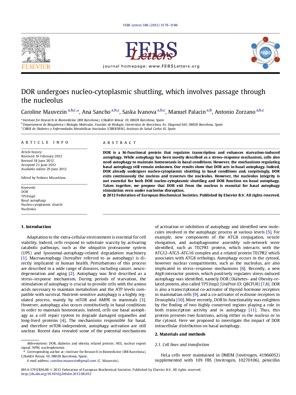 DOR undergoes nucleo-cytoplasmic shuttling, which involves passage through the nucleolus