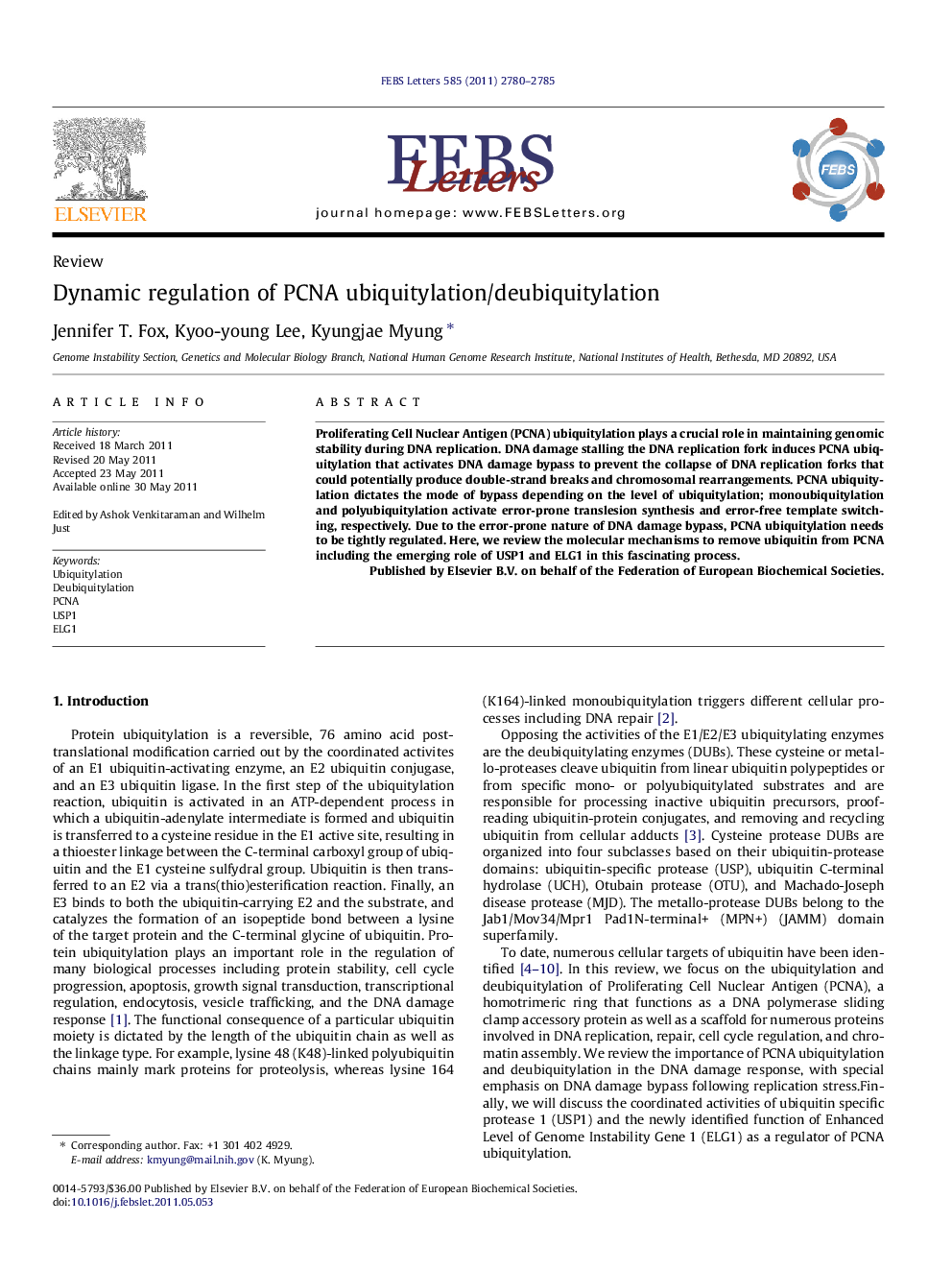 Dynamic regulation of PCNA ubiquitylation/deubiquitylation