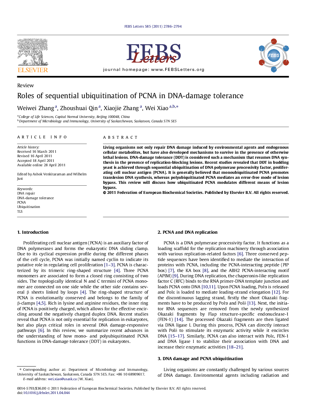 Roles of sequential ubiquitination of PCNA in DNA-damage tolerance