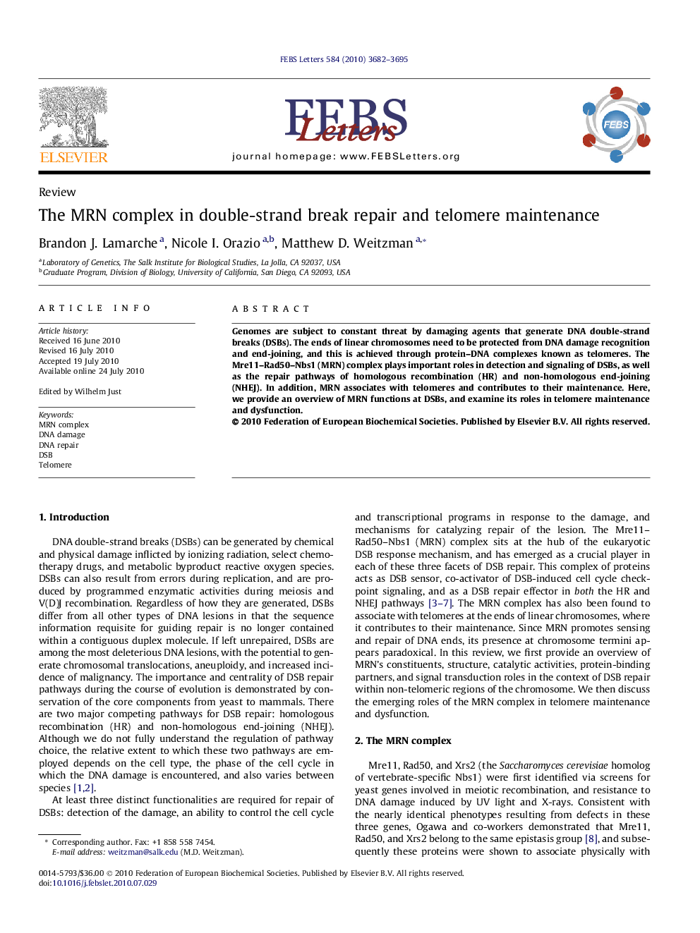 The MRN complex in double-strand break repair and telomere maintenance