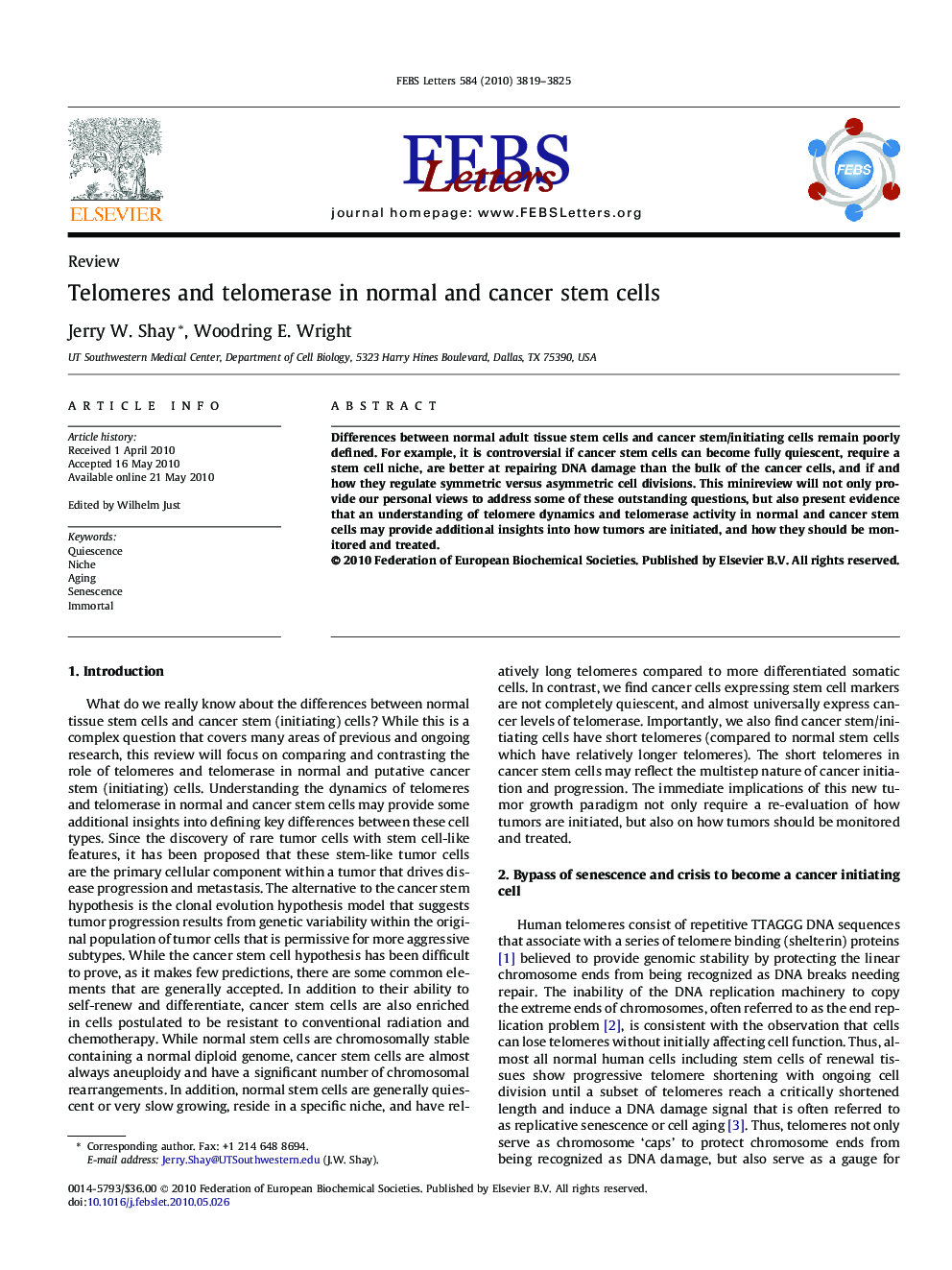 Telomeres and telomerase in normal and cancer stem cells