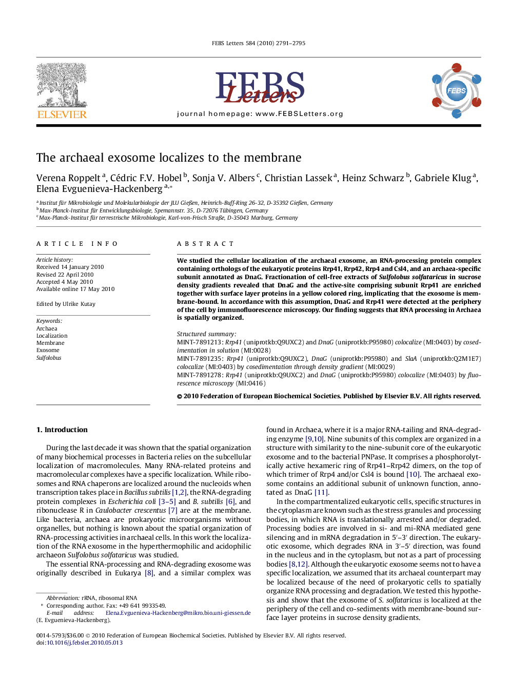 The archaeal exosome localizes to the membrane