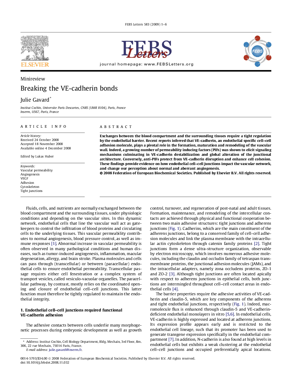 Breaking the VE-cadherin bonds