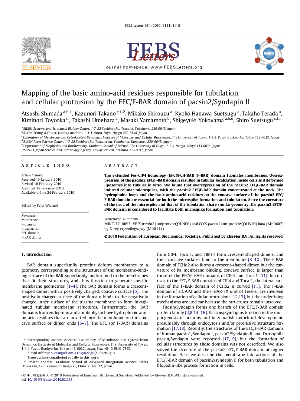 Mapping of the basic amino-acid residues responsible for tubulation and cellular protrusion by the EFC/F-BAR domain of pacsin2/Syndapin II