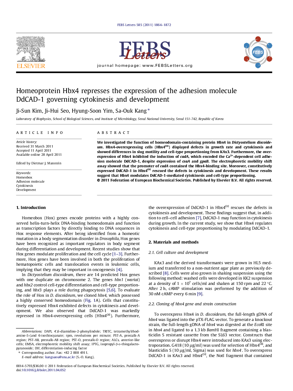 Homeoprotein Hbx4 represses the expression of the adhesion molecule DdCAD-1 governing cytokinesis and development