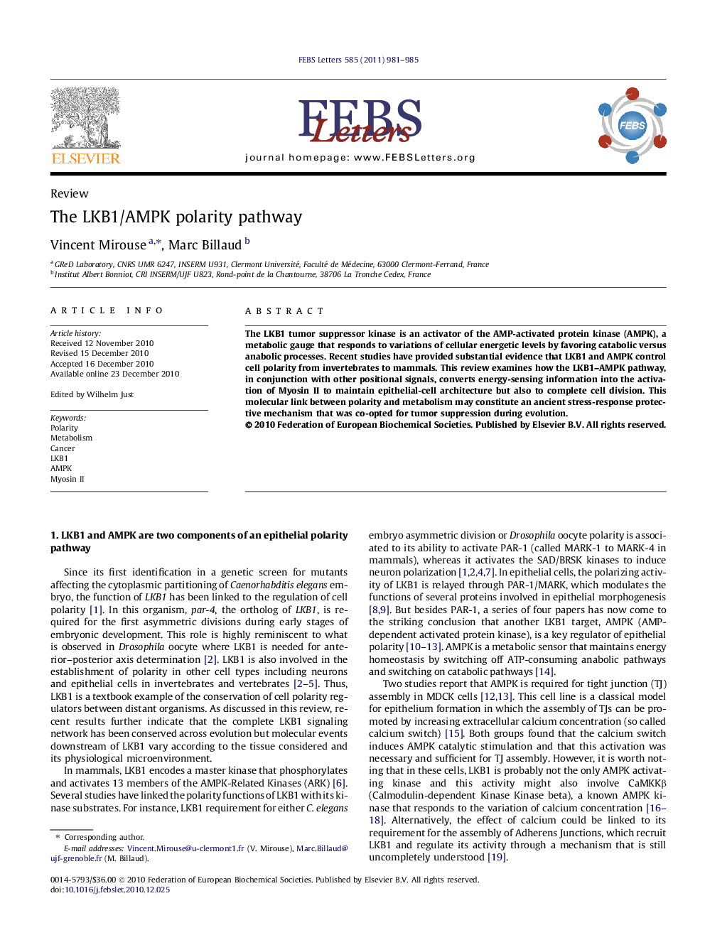The LKB1/AMPK polarity pathway