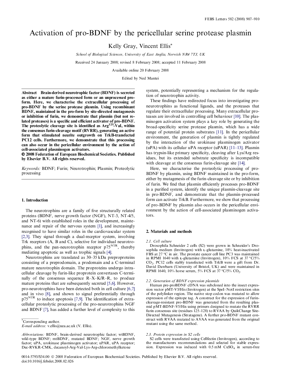 Activation of pro-BDNF by the pericellular serine protease plasmin