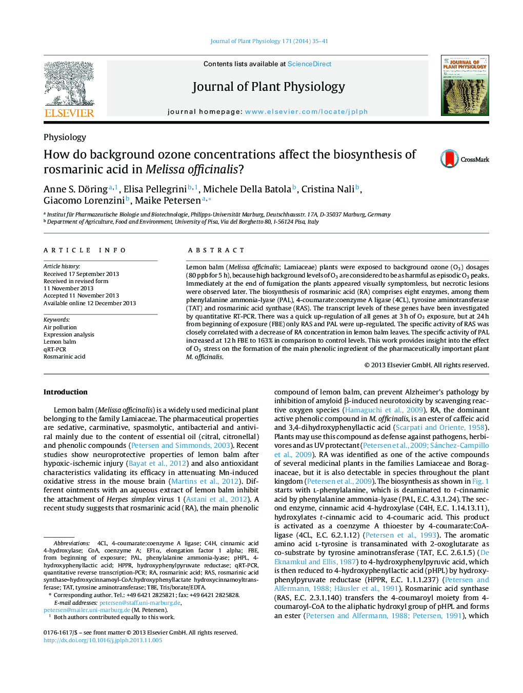 How do background ozone concentrations affect the biosynthesis of rosmarinic acid in Melissa officinalis?