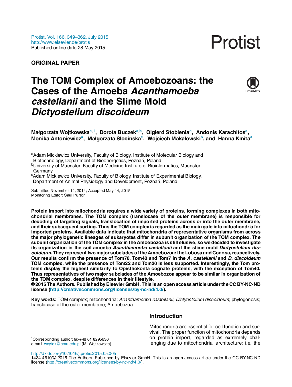 The TOM Complex of Amoebozoans: the Cases of the Amoeba Acanthamoeba castellanii and the Slime Mold Dictyostelium discoideum