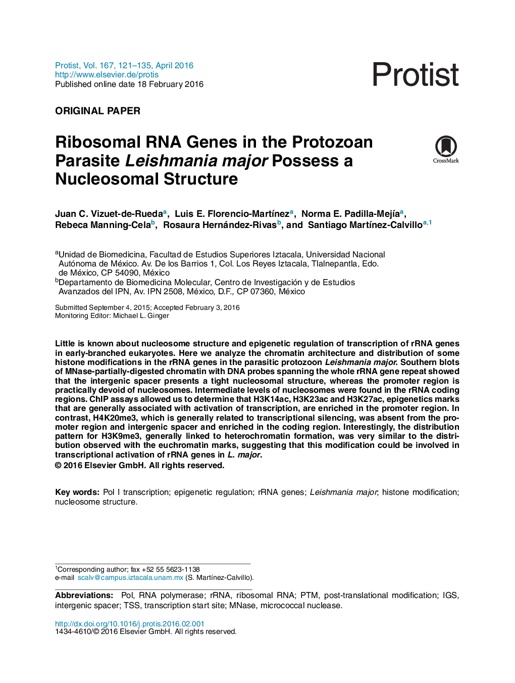 Ribosomal RNA Genes in the Protozoan Parasite Leishmania major Possess a Nucleosomal Structure