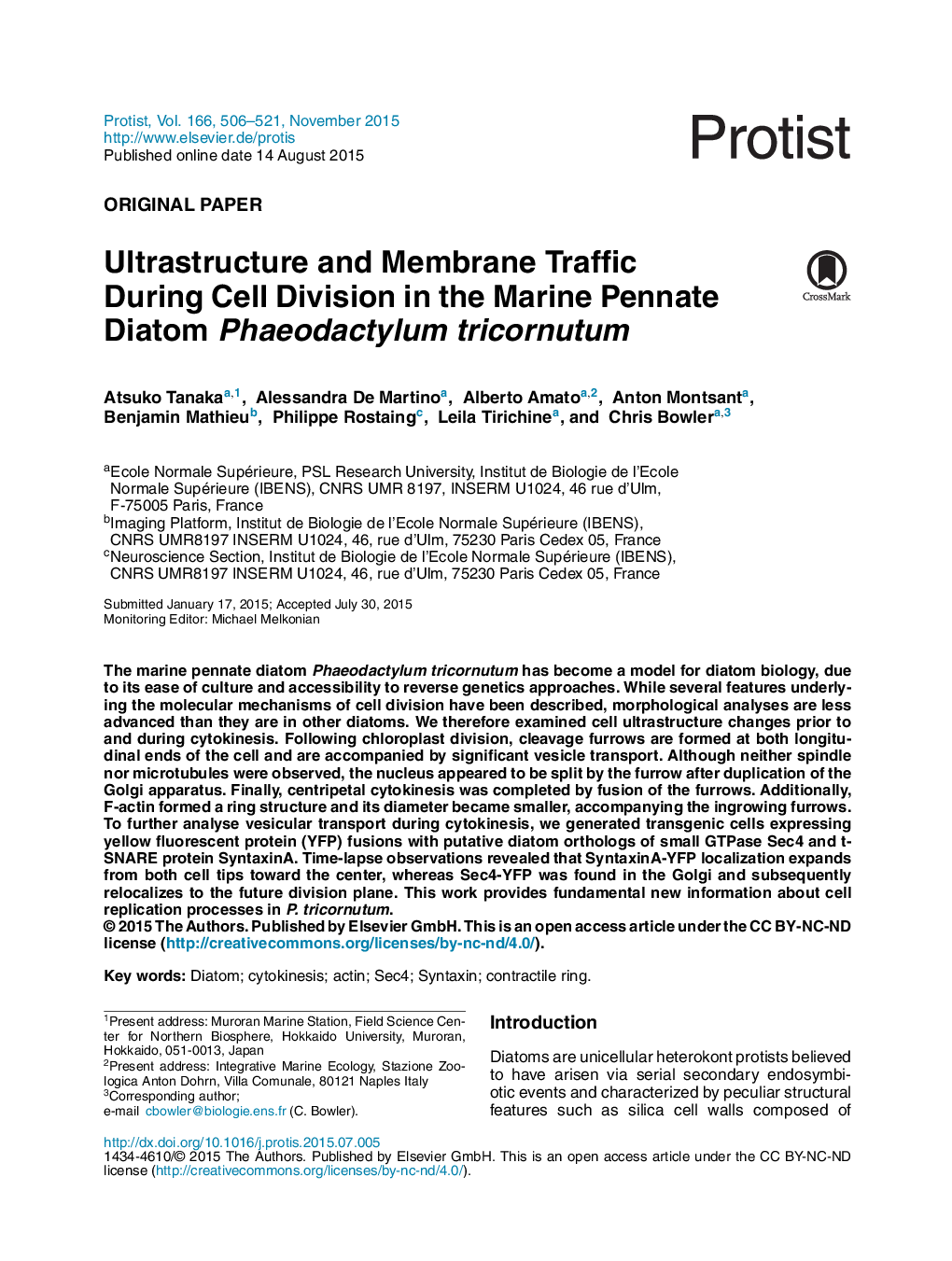 Ultrastructure and Membrane Traffic During Cell Division in the Marine Pennate Diatom Phaeodactylum tricornutum