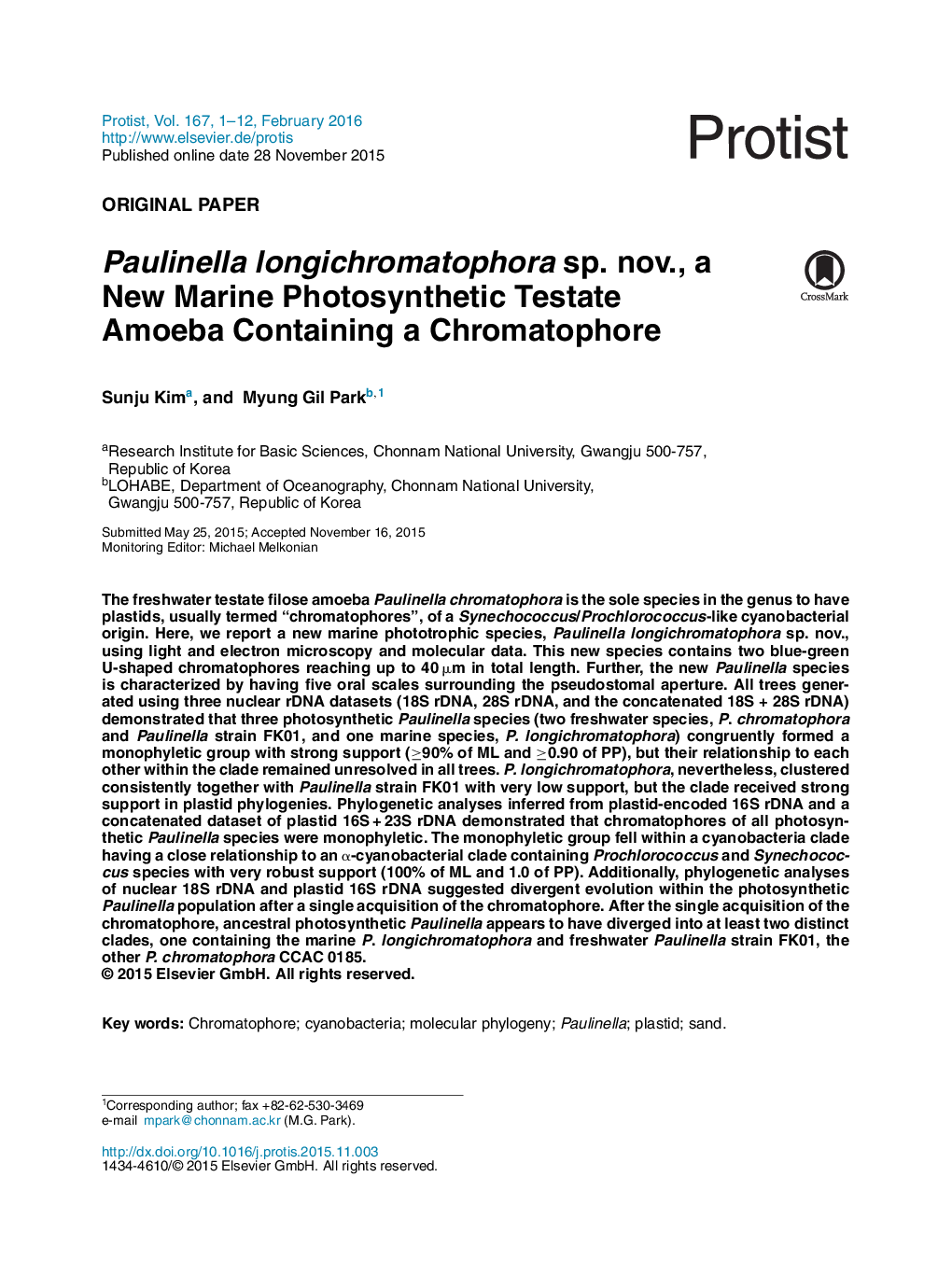 Paulinella longichromatophora sp. nov., a New Marine Photosynthetic Testate Amoeba Containing a Chromatophore