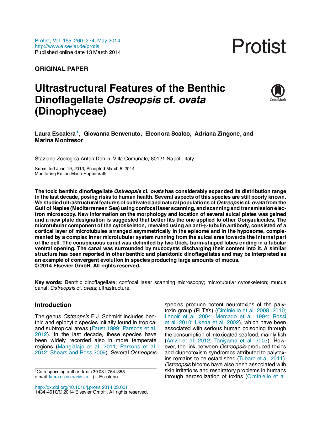 Ultrastructural Features of the Benthic Dinoflagellate Ostreopsis cf. ovata (Dinophyceae)