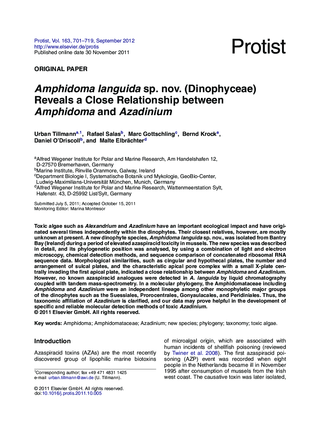 Amphidoma languida sp. nov. (Dinophyceae) Reveals a Close Relationship between Amphidoma and Azadinium