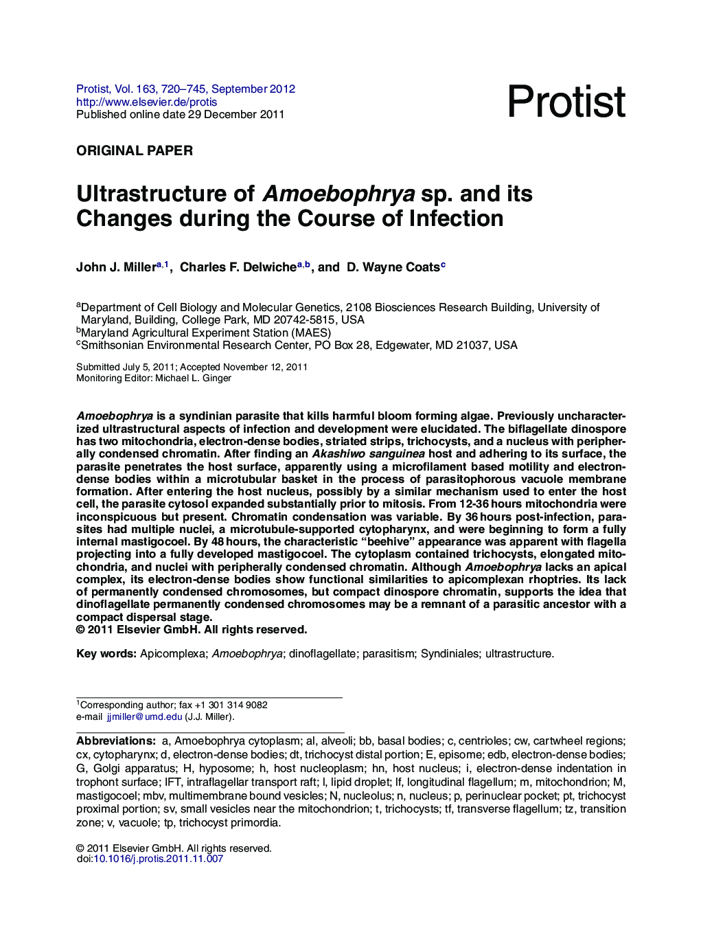 Ultrastructure of Amoebophrya sp. and its Changes during the Course of Infection