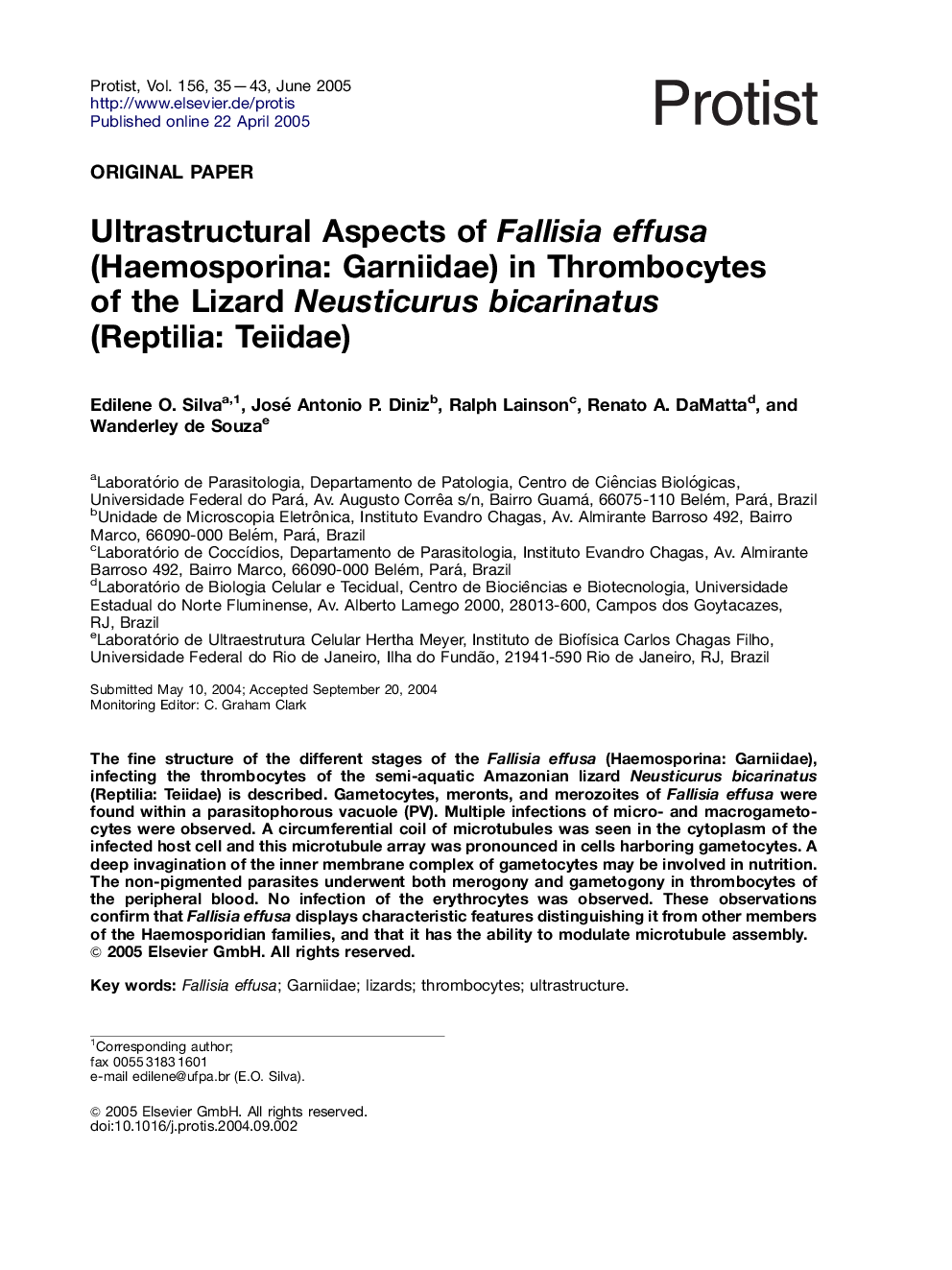 Ultrastructural Aspects of Fallisia effusa (Haemosporina: Garniidae) in Thrombocytes of the Lizard Neusticurus bicarinatus (Reptilia: Teiidae)