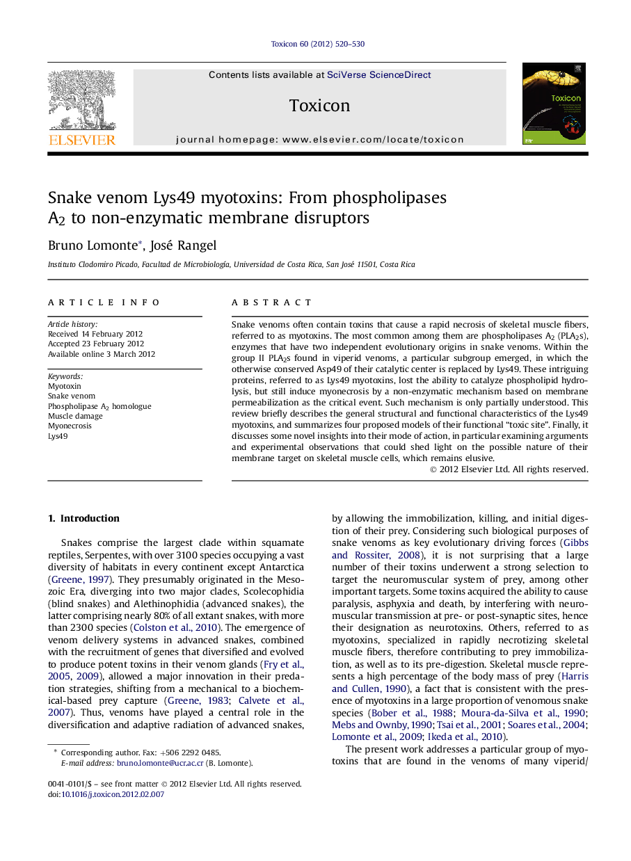 Snake venom Lys49 myotoxins: From phospholipases A2 to non-enzymatic membrane disruptors