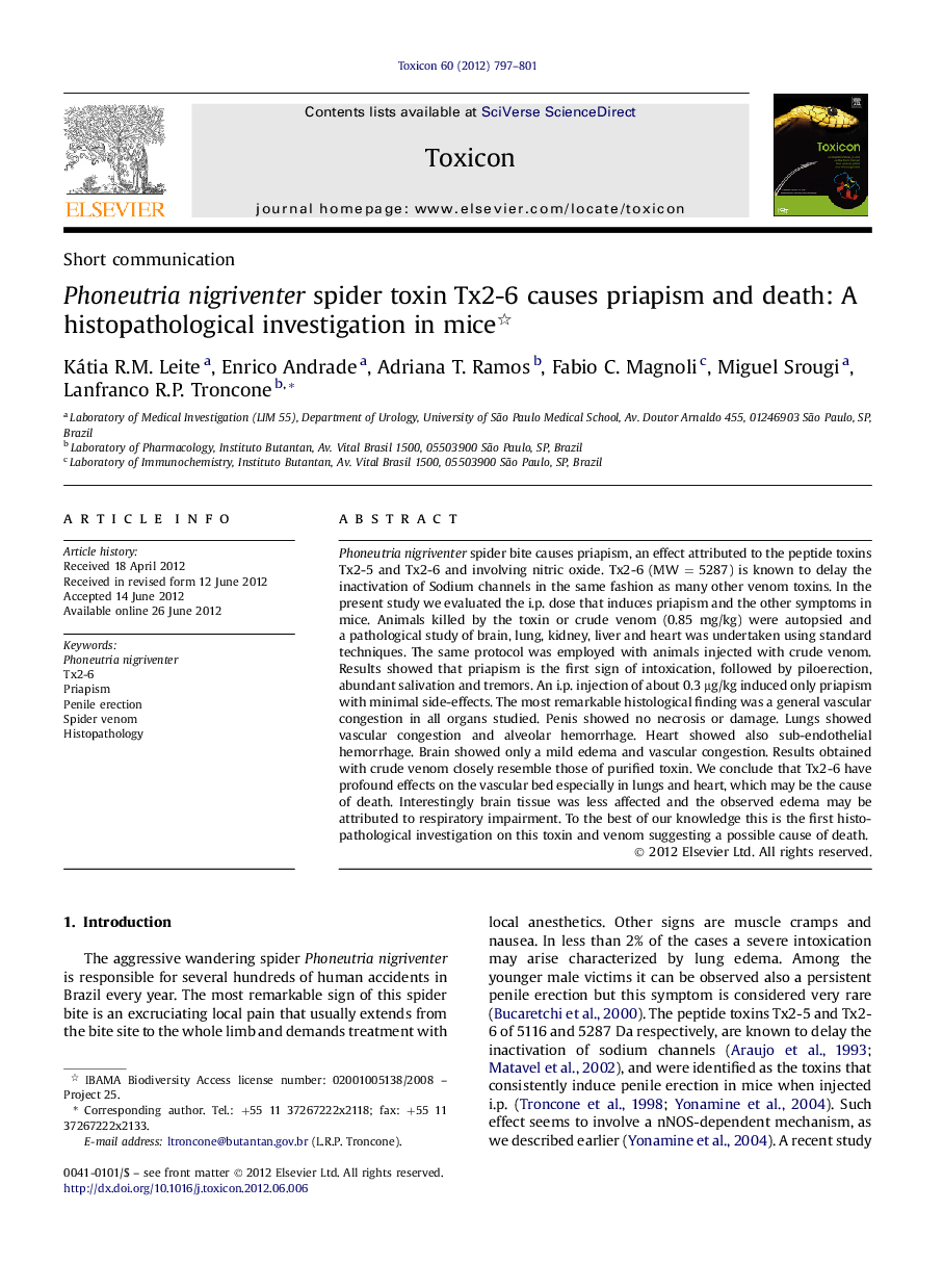 Phoneutria nigriventer spider toxin Tx2-6 causes priapism and death: A histopathological investigation in mice