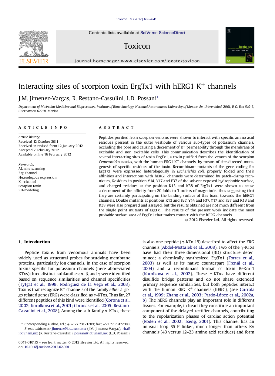 Interacting sites of scorpion toxin ErgTx1 with hERG1 K+ channels