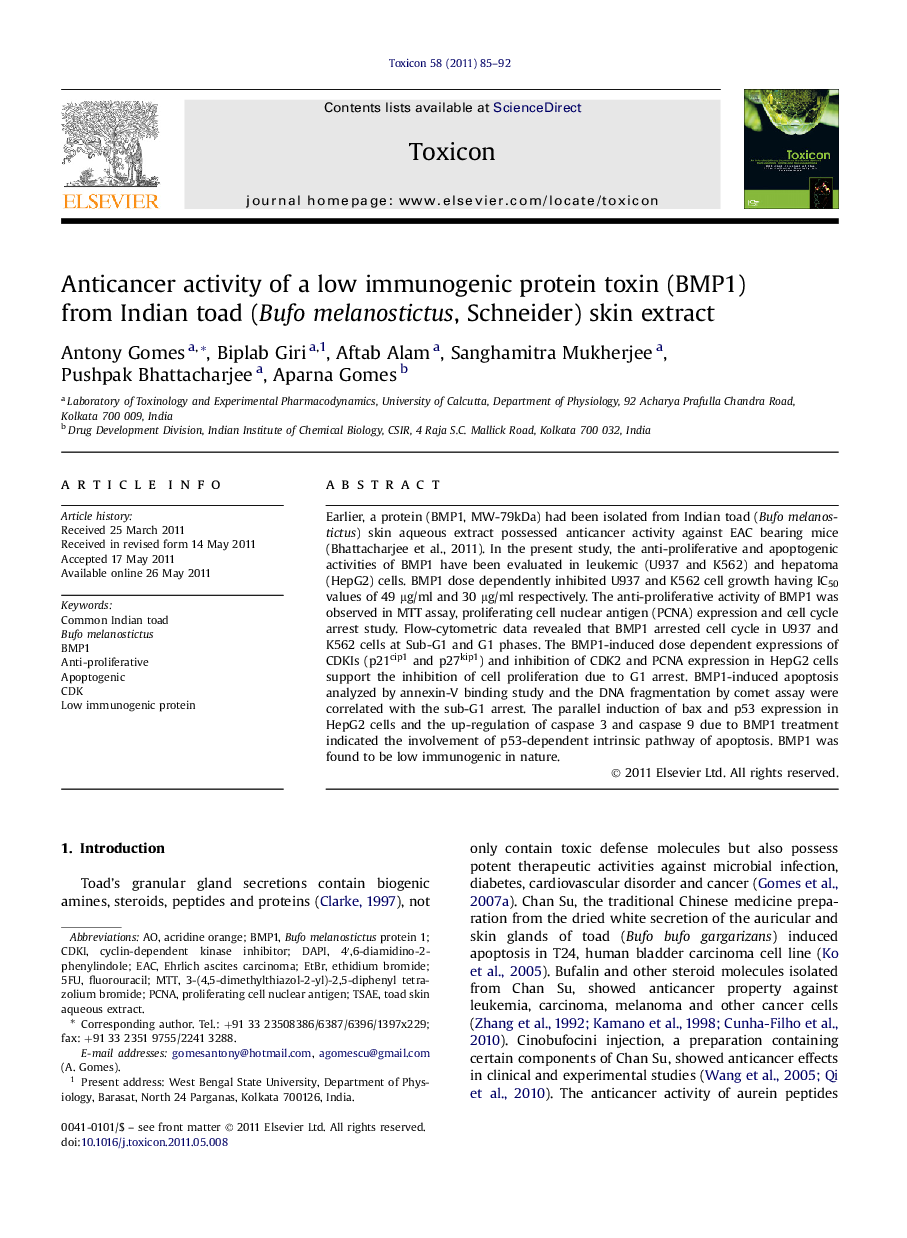 Anticancer activity of a low immunogenic protein toxin (BMP1) from Indian toad (Bufo melanostictus, Schneider) skin extract