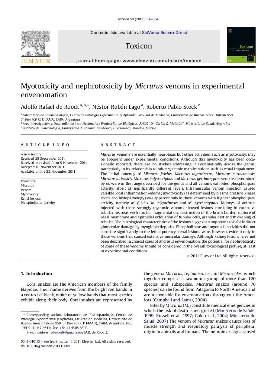 Myotoxicity and nephrotoxicity by Micrurus venoms in experimental envenomation