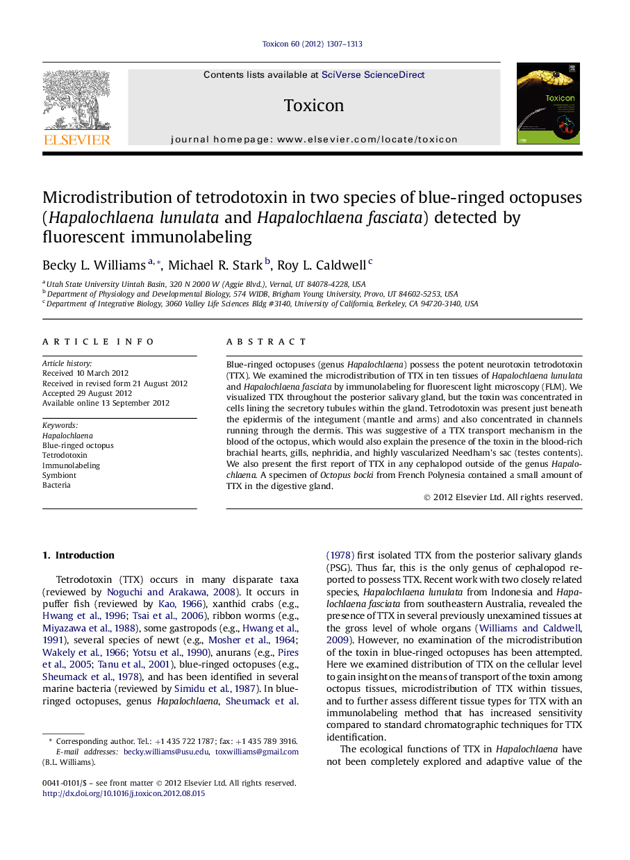 Microdistribution of tetrodotoxin in two species of blue-ringed octopuses (Hapalochlaena lunulata and Hapalochlaena fasciata) detected by fluorescent immunolabeling