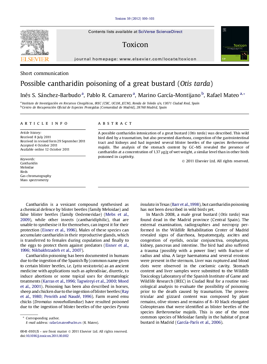 Possible cantharidin poisoning of a great bustard (Otis tarda)