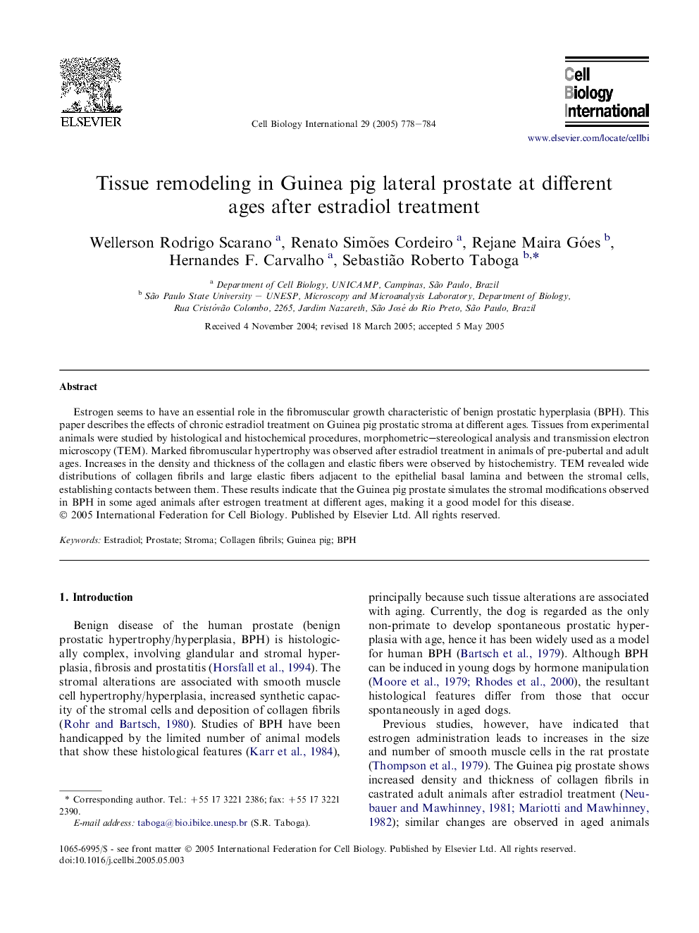 Tissue remodeling in Guinea pig lateral prostate at different ages after estradiol treatment