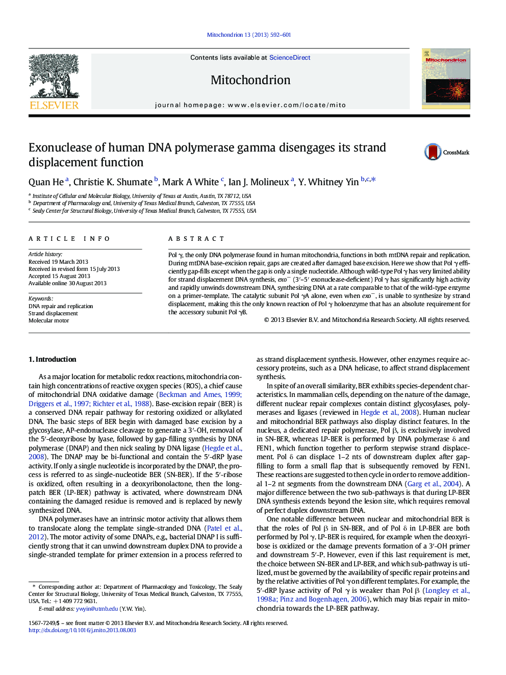 Exonuclease of human DNA polymerase gamma disengages its strand displacement function