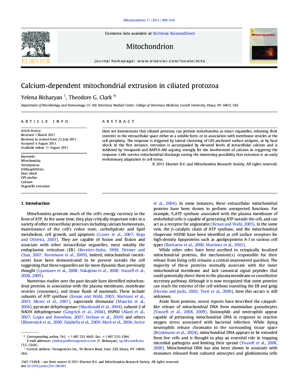 Calcium-dependent mitochondrial extrusion in ciliated protozoa