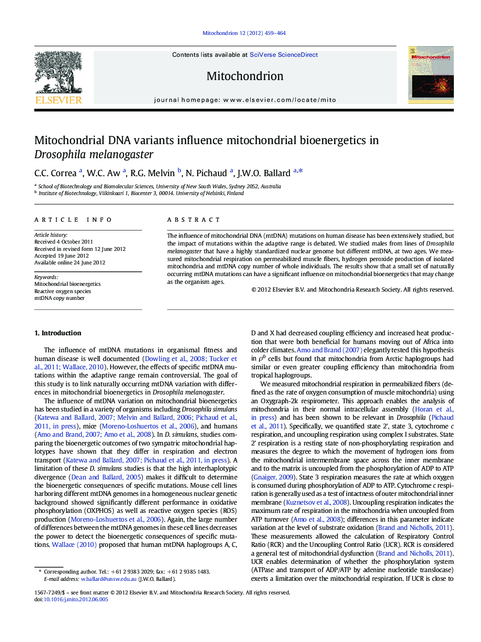 Mitochondrial DNA variants influence mitochondrial bioenergetics in Drosophila melanogaster