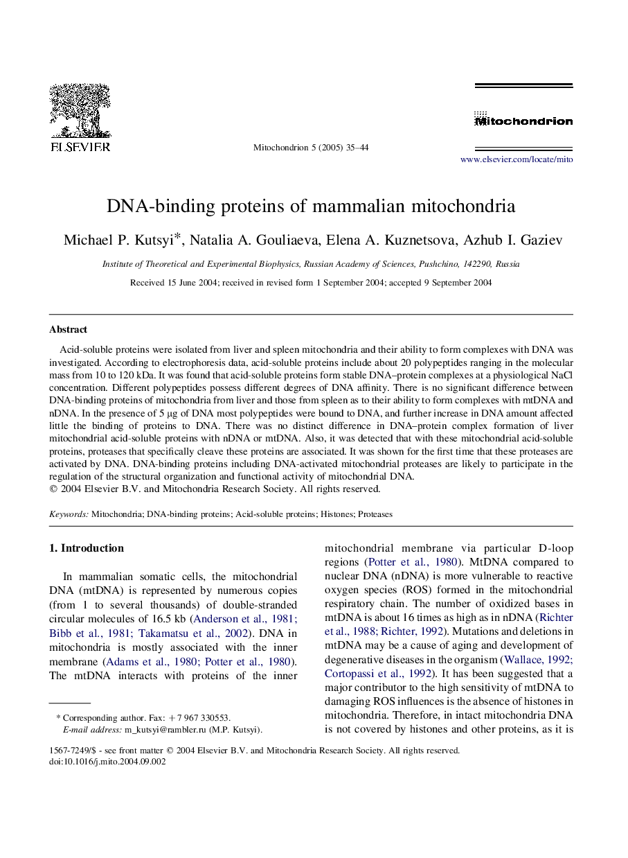 DNA-binding proteins of mammalian mitochondria