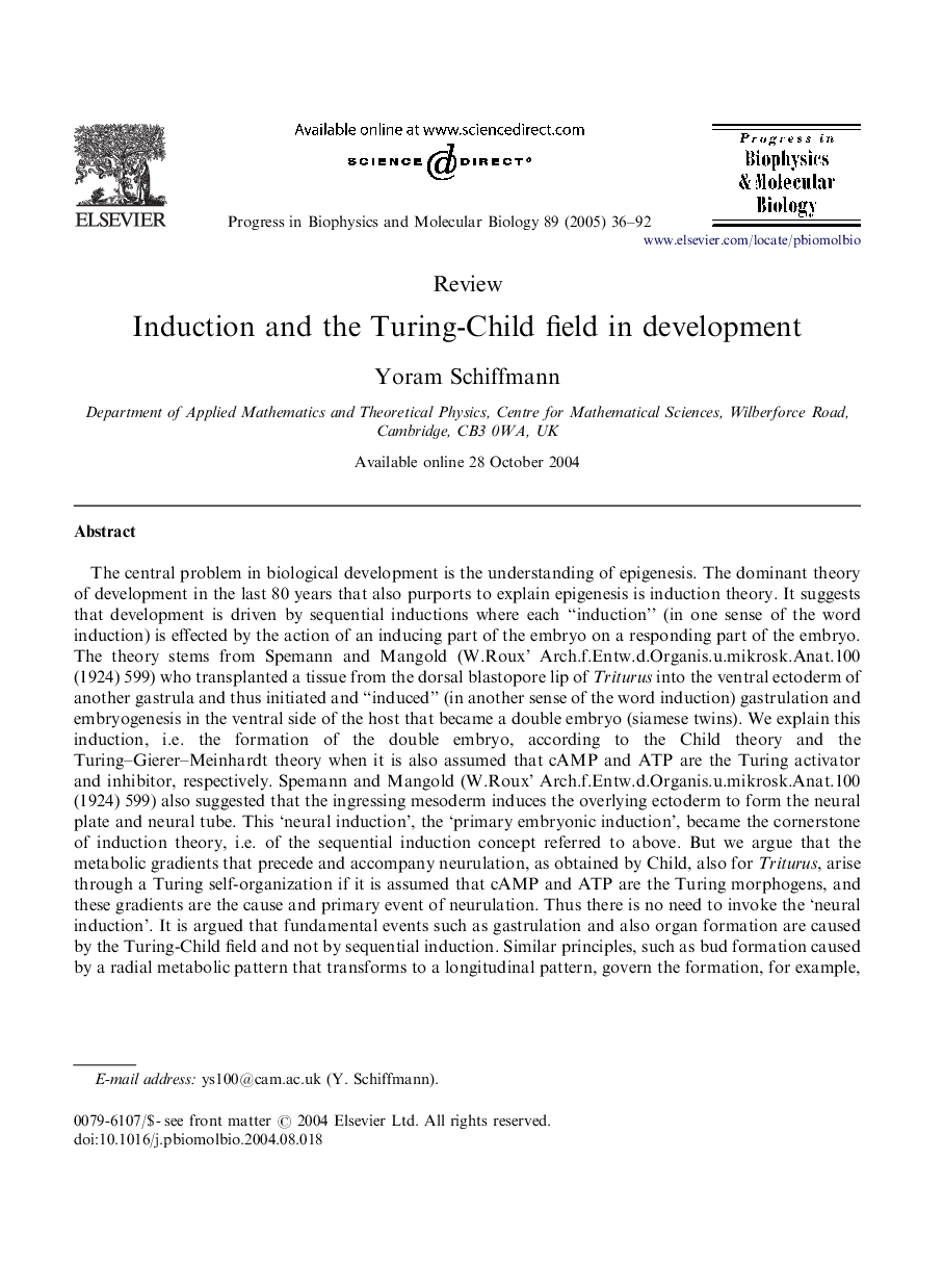 Induction and the Turing-Child field in development