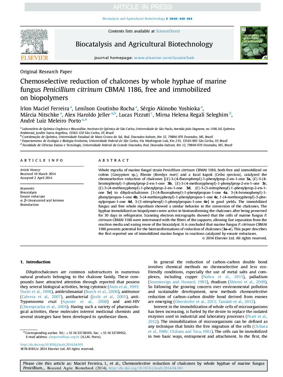 Chemoselective reduction of chalcones by whole hyphae of marine fungus Penicillium citrinum CBMAI 1186, free and immobilized on biopolymers