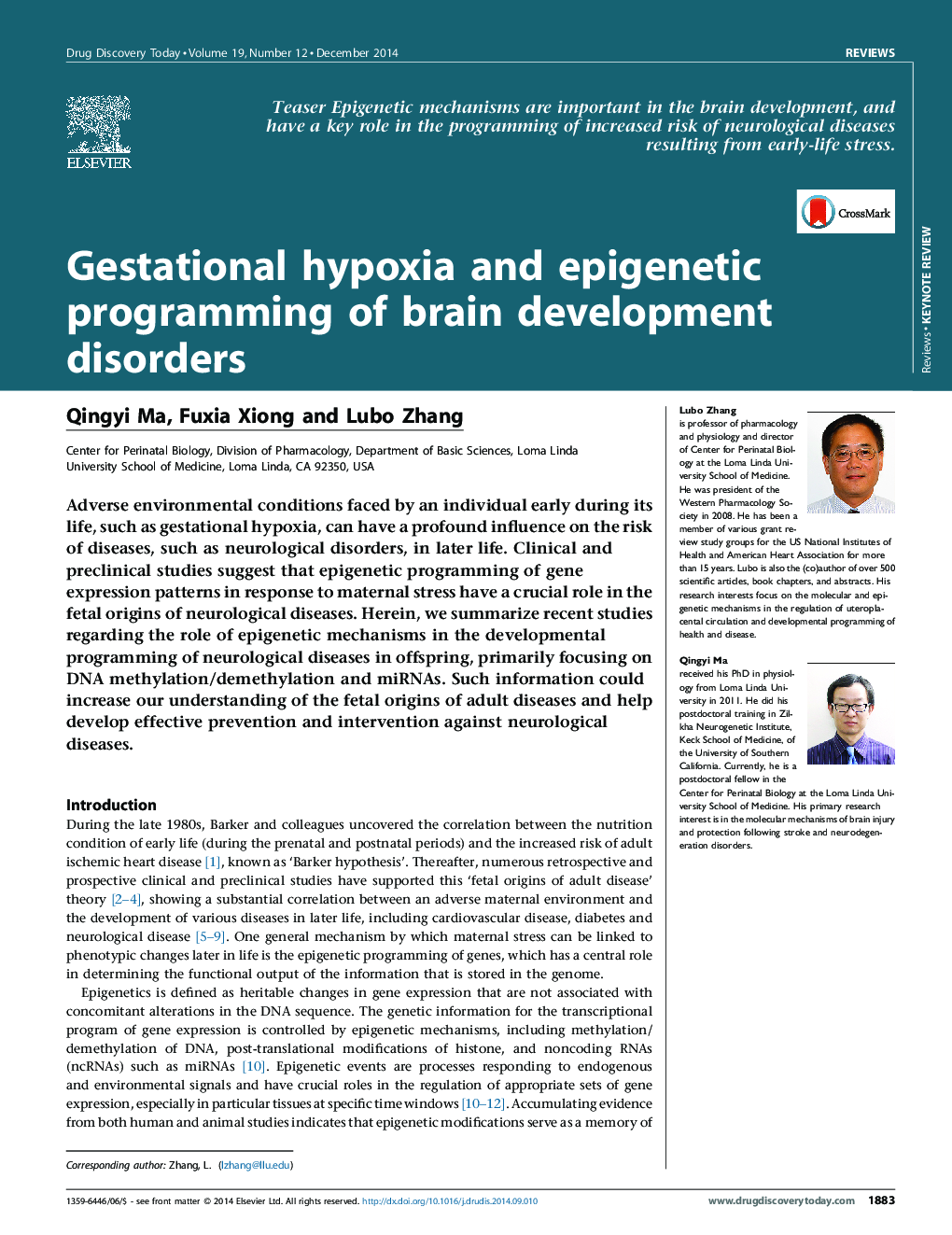 Gestational hypoxia and epigenetic programming of brain development disorders