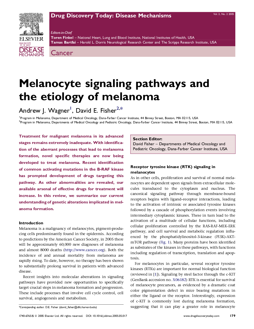 Melanocyte signaling pathways and the etiology of melanoma