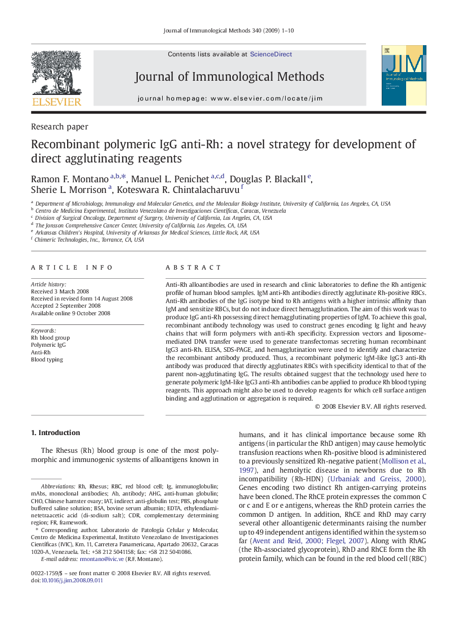 Recombinant polymeric IgG anti-Rh: a novel strategy for development of direct agglutinating reagents