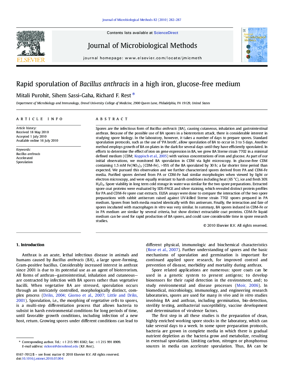 Rapid sporulation of Bacillus anthracis in a high iron, glucose-free medium